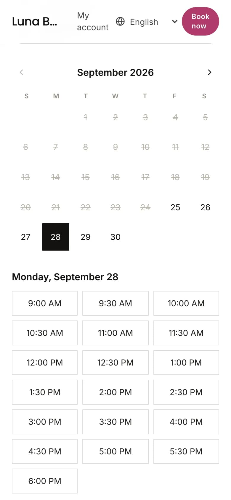 A client choosing an open time on a BookVAO booking page